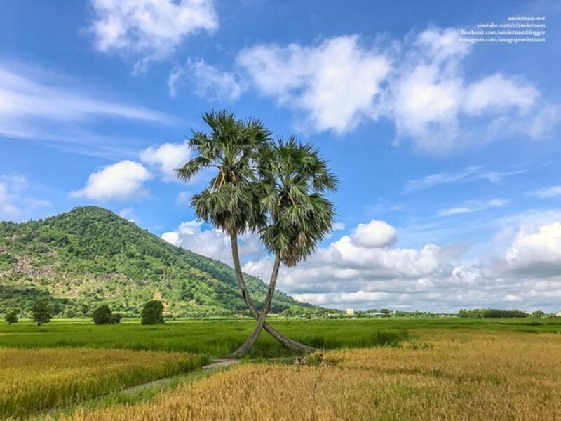 xe-sai-gon-tay-ninh-26